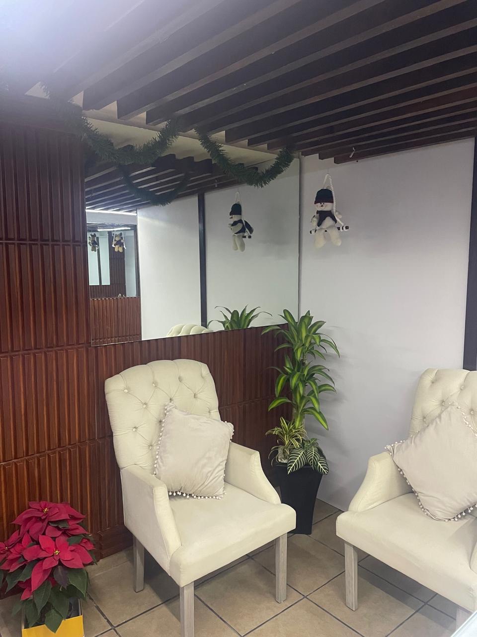 Área de espera con sillones y decoración